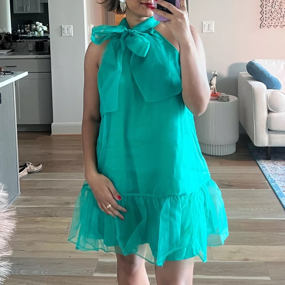 Anthropologie Maeve Organza Bow-Neck Mini Dress